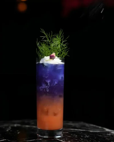 Elegant cocktail glass with garnish at Haveli Fine Dine Dubai